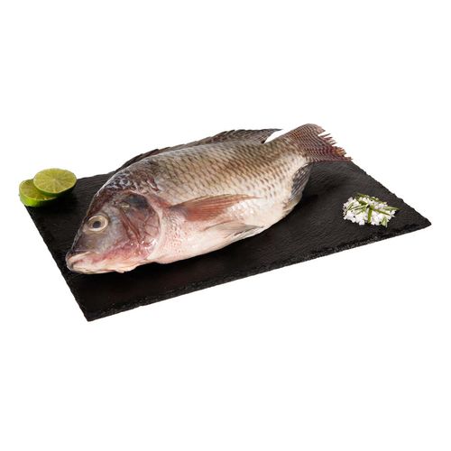 Mojarra Tilapia Fresca por Kg
