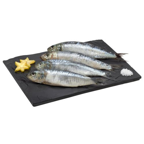 Sardina Española kg