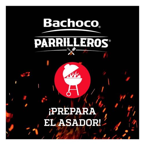 Cecina de Cerdo Enchilada Parrilleros Bachoco 480 g