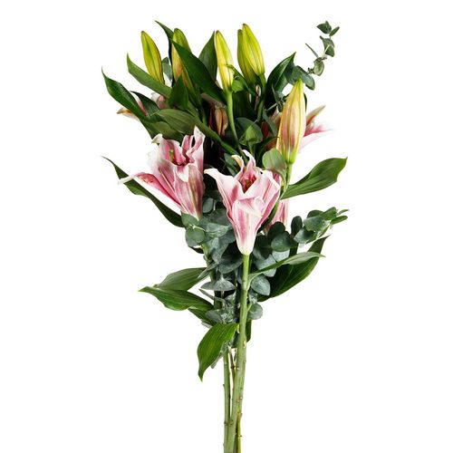 Ramo de Lilies Orientales