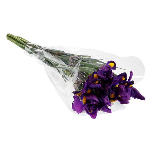 Ramo de Iris