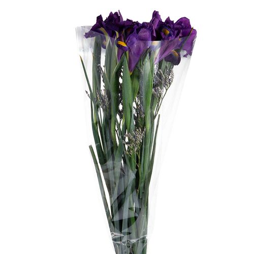 Ramo de Iris