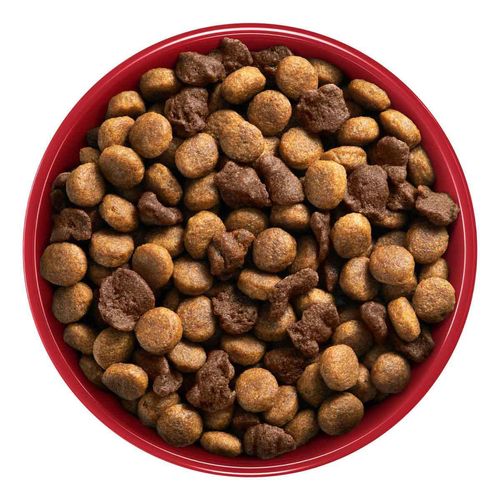 Purina One Perros Adultos Medianos y Grandes Pollo y Carne 7kg