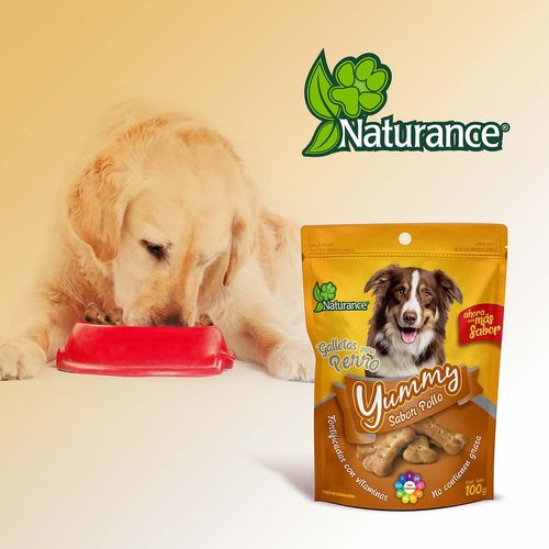 Botana para Perro Adulto Yummy Sabor Pollo 100g
