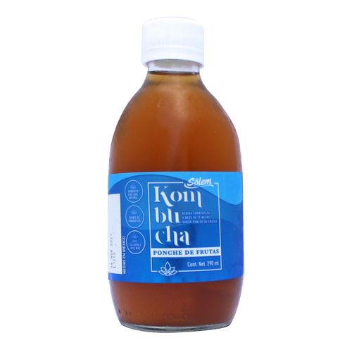 Jugo Kombucha Solem Ponche de Frutas Botella 290ml