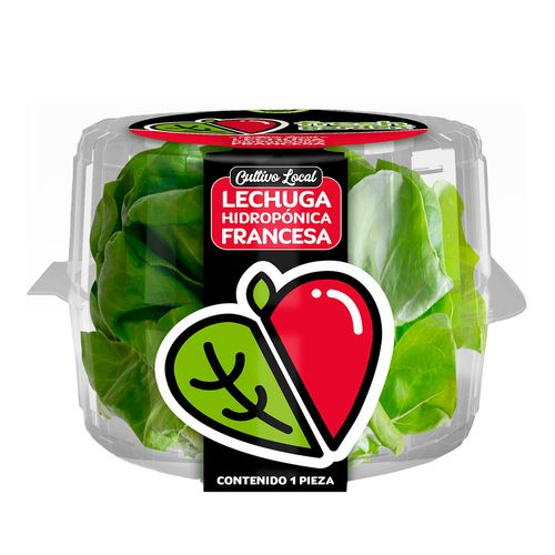 Lechuga Hidropónica Fresh Garden Francesa 1 Pieza