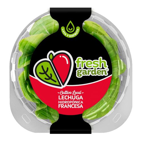 Lechuga Hidropónica Fresh Garden Francesa 1 Pieza