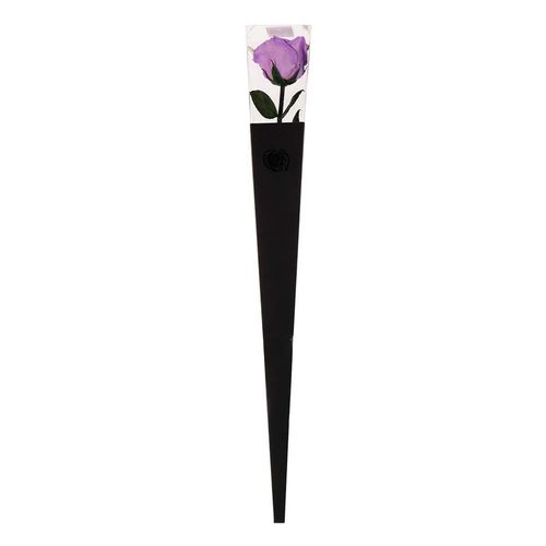 Rosa Roseamor Forever Cono 50cm