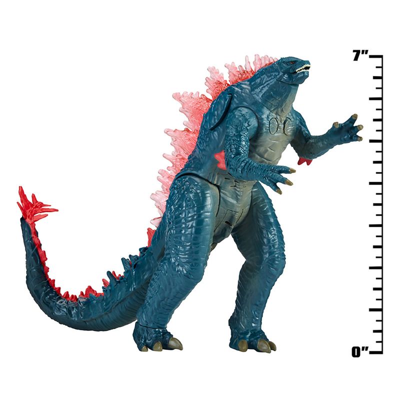 45557120207_05