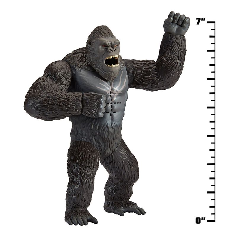 45557120207_08