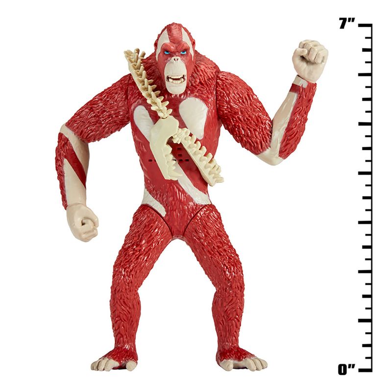 45557120207_11