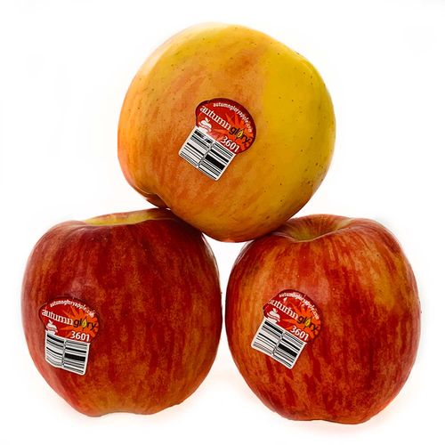Manzana Autumn Glory kg