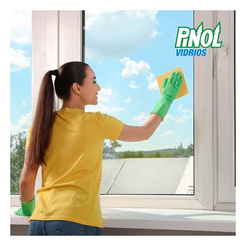 Limpiador Vidrios Pinol Poder Vidrios y Superficies repuesto 450ml