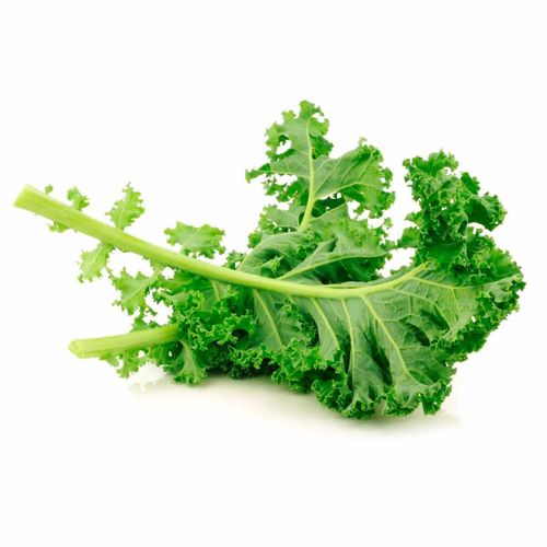 Ensalada Kale Campo Vivo Orgánica 100g