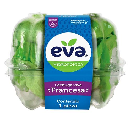 Lechuga Eva Francesa Viva 1 Pieza