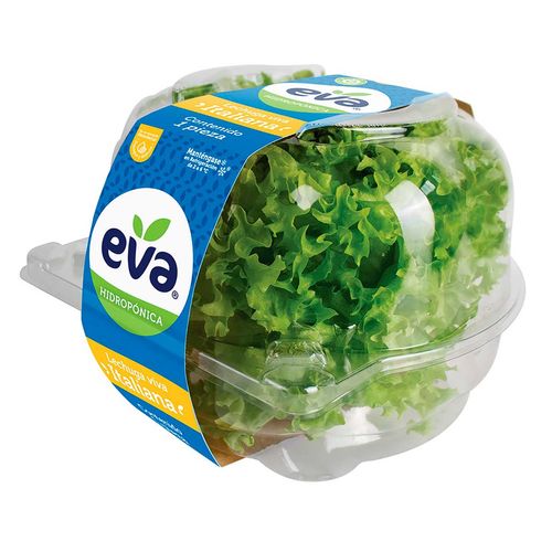 Lechuga Eva Italiana Viva 1 Pieza