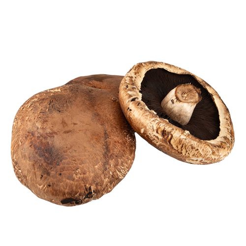 Hongo Portobello por Kg