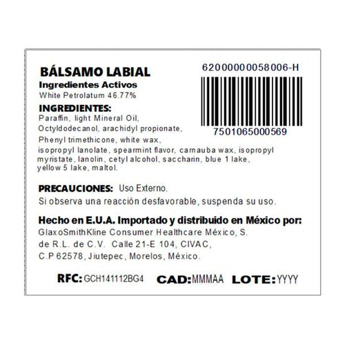 Chapstick Bálsamo Labial Yerbabuena 4g