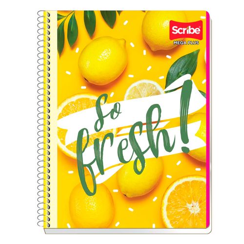 Cuaderno Profesional Scribe Cuadro Chico 100 Hojas
