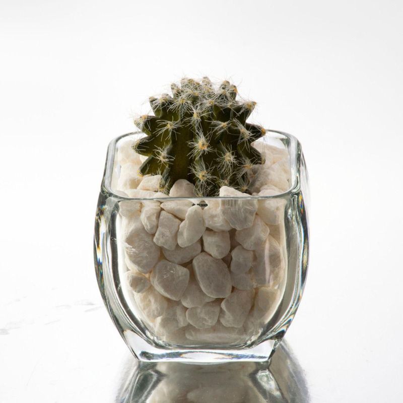 stovmex24978917921664_01