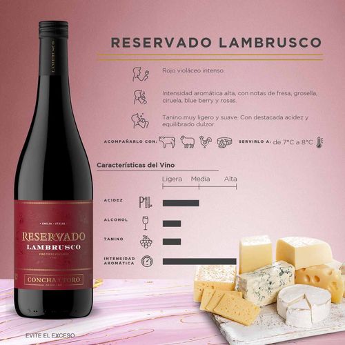 Vino Tinto Italiano Reservado Lambrusco 750ml