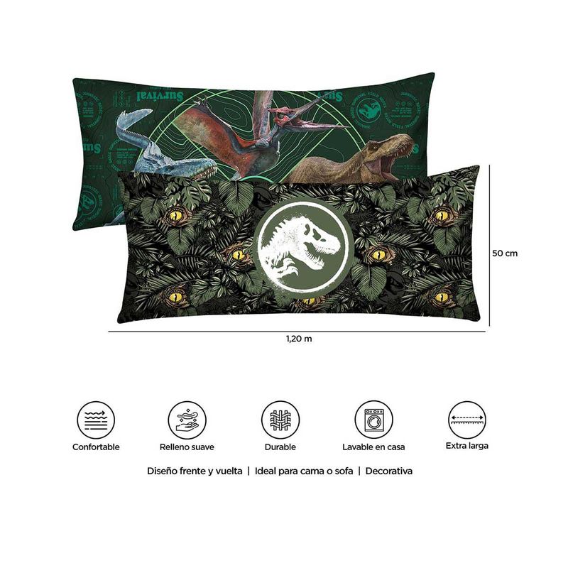 providencia2167506396820916_04