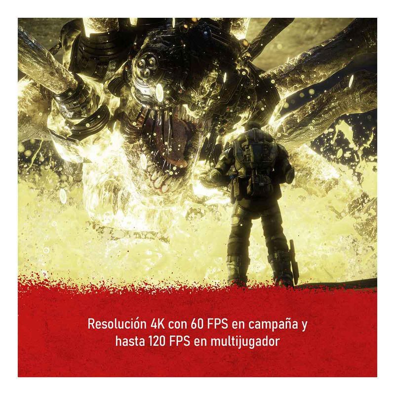 196388605576_05