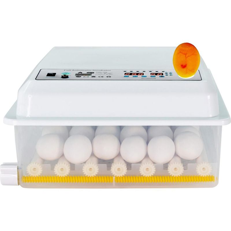 tiendamercadazo8717502312532116_01