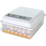 tiendamercadazo8717502312532116_02