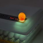 tiendamercadazo8717502312532116_03