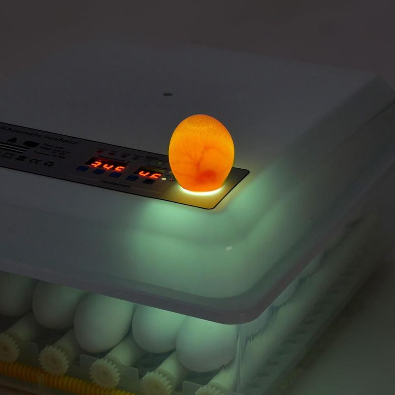 tiendamercadazo8717502312532116_03