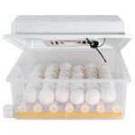 tiendamercadazo8717502312532116_05