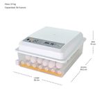 tiendamercadazo8717502312532116_06