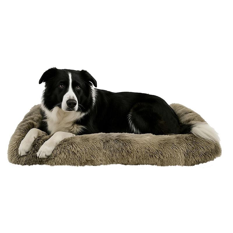 aratsapop4817505722010649_02