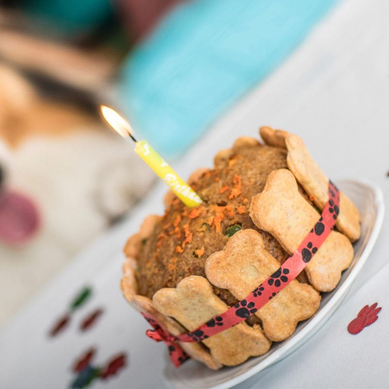 petgourmet26307503057652152_01