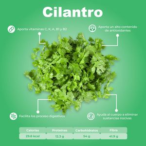Cilantro Rollo