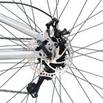 grupoveloci8037503053071735_02