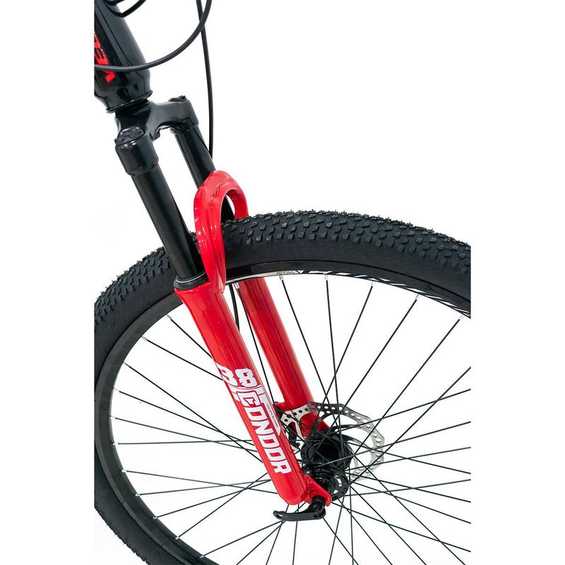 grupoveloci8037503053071735_06