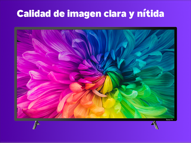 Imagen 6